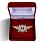 Знак в бархатистом футляре Росгвардии Квалификационное звание Специалист 2-го класса 1