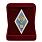 Знак в бархатистом футляре Об окончании педагогического ВУЗа РФ 2