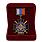 Знак в бархатистом футляре За службу России (чёрный) 3