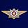 Знак в бархатистом футляре классного специалиста МВД России (Мастер) 7