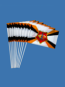 Набор флажков Центрального военного округа (10 штук)