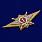 Знак Росгвардии Классная квалификация Мастер (специалист 1-го класса) 2