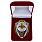 Знак в бархатистом футляре Отличник РВСН 1