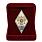 Знак в бархатистом футляре об окончании Военной академии РХБЗ 2