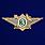 Знак ФТС  Специалист 3 класса 1