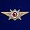 Знак Росгвардии Квалификационное звание Специалист 3-го класса 1
