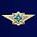 Знак ФСИН Специалист 3 класса 1