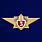 Знак Классный специалист МЧС 3-го класса 1