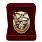 Знак в бархатистом футляре За службу в войсках РХБЗ РФ 3