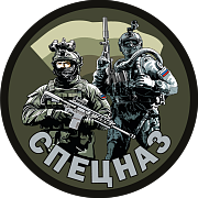 Полевой шеврон Спецназ (8х8см)
