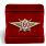 Знак в бархатистом футляре Росгвардии Классная квалификация Мастер (специалист 2-го класса) 2
