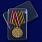 Медаль За заслуги в борьбе с международным терроризмом 6