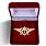 Знак в бархатистом футляре Классный специалист МЧС 1-го класса 1