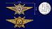 Знак в бархатистом футляре Росгвардии Классная квалификация Мастер 9
