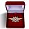 Знак в бархатистом футляре Росгвардии Квалификационное звание Мастер 1