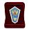 Знак в бархатистом футляре Об окончании педагогического ССУЗа РФ 2