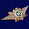 Знак в бархатистом футляре ФТС  Мастер 7